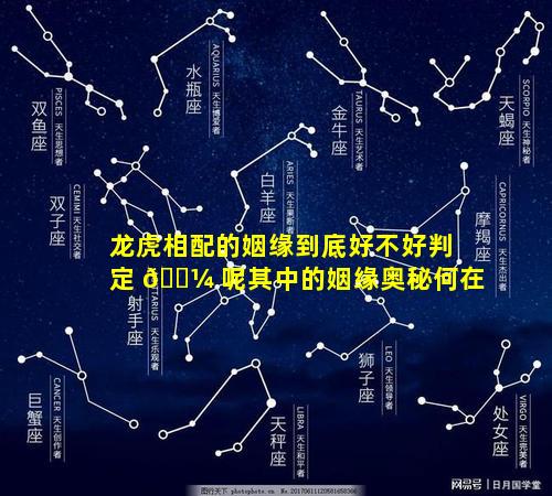 龙虎相配的姻缘到底好不好判定 🌼 呢其中的姻缘奥秘何在